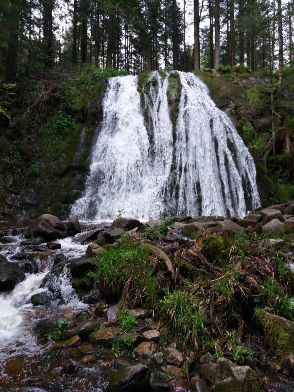 vacances dans les Hautes Vosges proche Alsace et route des vins