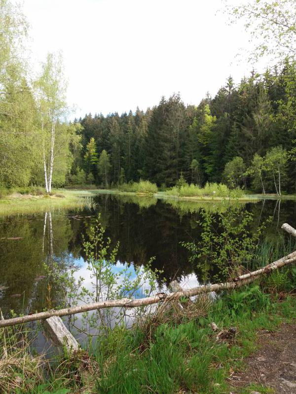 vacances dans les Hautes Vosges proche Alsace et route des vins