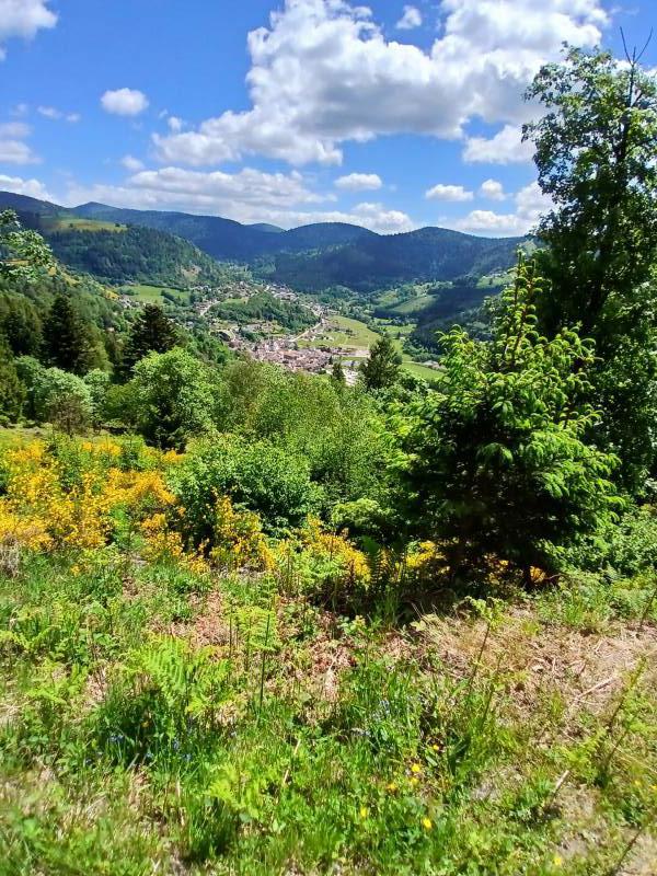 vacances dans les Hautes Vosges proche Alsace et route des vins